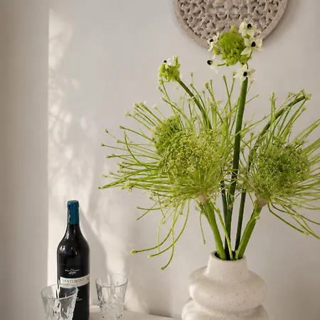 Apart-hotel Breathing Spell Mykonos *